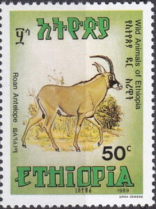 Roan Antelope (Hippotragus equinus)