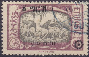 Common Ostrich (Struthio camelus)