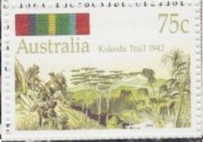 Infantry on Kokoda Trail