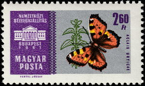 Small Tortoiseshell (Aglais urticae)