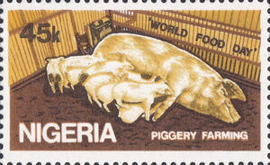 Pig Farm