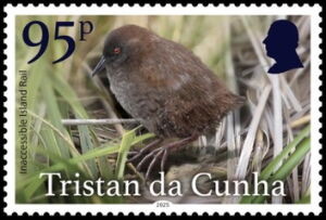 Stamp: Inaccessible Island Rail (Laterallus rogersi) (Tristan da Cunha ...