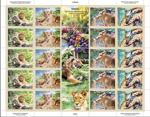 Palić Zoo, Subotica, 75 Years