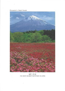 Mt. Fuji. The most highest mountain in Japan