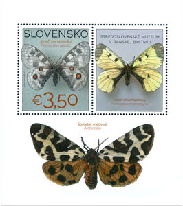 Nature Conservation : Apollo (Parnassius apollo)