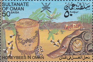 Colnect Item Picture