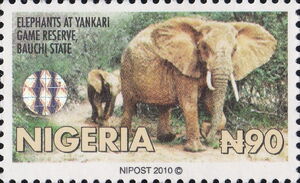 Elephants at Yankari Game Reserve (Bauchi State)