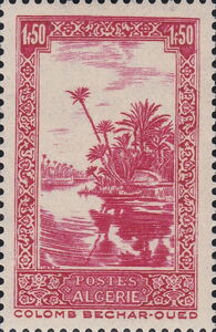 Wadi with Colomb-Bechard