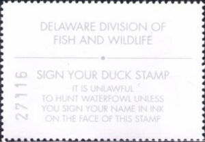 Canvasback (Aythya valisineria), Chesapeake Bay Retriever