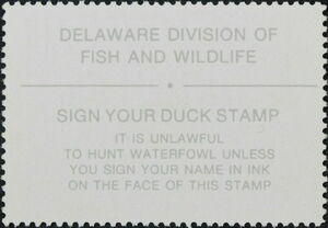 American black duck (Anas rubripes)