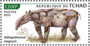 Astrapotherium magnum