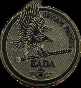 Decoration: EADA (Escuadrón de Apoyo al Despliegue Aéreo) (Spain(Air