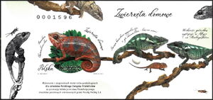 Chameleon (Chamaeleonidae)