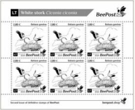 White Stork (Baltasis gandras)