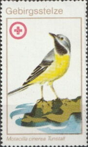 Red Cross Birds - Motacilla cinerea Tunstall