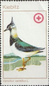 Red Cross Birds - Vanellus vanellus