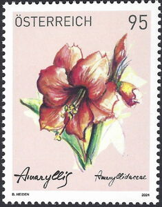 Amaryllis