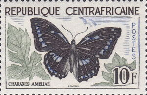 Blue-spotted Charaxes (Charaxes ameliae)