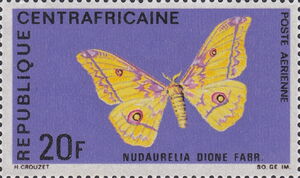 Silk Moth (Nudaurelia dione)