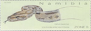Namibia Python Stamp: Southern African Python (Python natalensis) (Namibia(Pythons of ...