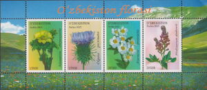 Flowers of Uzbekistan