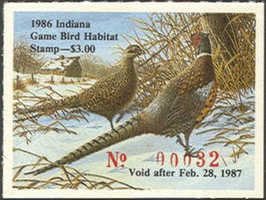 Ring-necked pheasant (Phasianus colchicus)