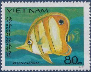 Copperband Butterflyfish (Chelmon rostratus)