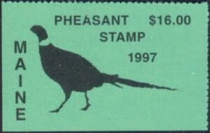 Pheasant