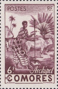 Femme indigene-indigenous woman