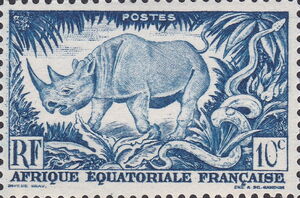 Black Rhinoceros (Diceros bicornis), African Rock Python