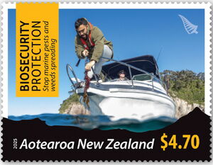 Stop Maritime Pests and weeds spreading