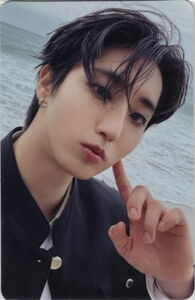 K-Pop Merch Item: Do it aladin preorder photocard (STRAY KIDSCol:SKZ