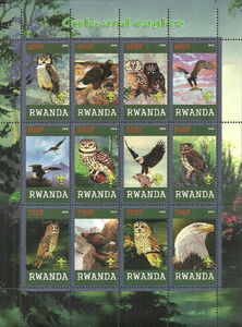 Owls and Eagles