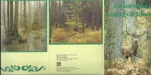 Animals of our forests