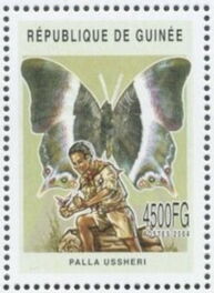 Scout and Palla ussheri