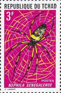 Senegal Orb Weaving Spider (Nephila senegalense)