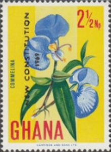 Commelina Flower - overprinted