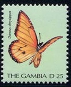 African Monarch (Danaus chrysippus)