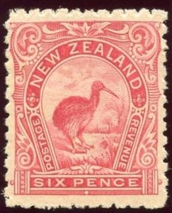 Brown Kiwi (Apteryx australis) (1906)