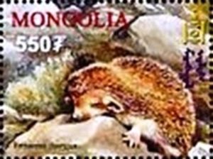 Stamp Daurian Hedgehog (Mesechinus dauuricus) (Mongolia(Endangered