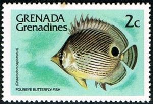 Foureye Butterflyfish (Chaetodon capistratus)