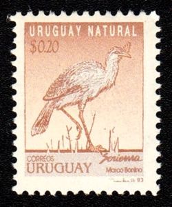 Red-legged Seriema (Cariama cristata)