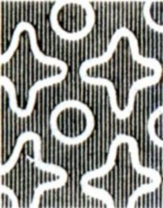 Overprint Volksstaat