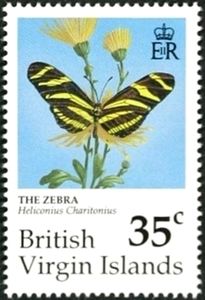 Zebra Longwing Butterfly (Heliconius charitonius)