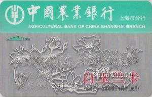 Bank Card: Agricultural Bank Of China (Agricultural Bank Of China ...