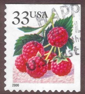 Fruit Berries: Raspberries