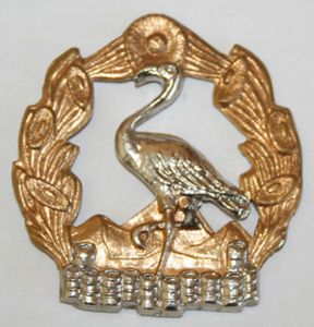Decoration 2nd South African Infantry 1 Type (South Africa(Badge