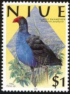 Purple Swamphen (Porphyrio porphyrio)