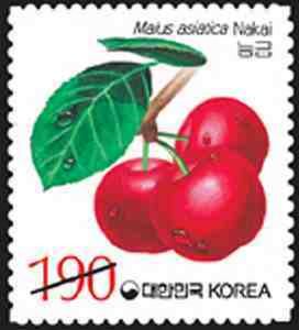 Malus asiatica Nakai