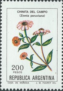 Chinita del campo (Zinnia peruviana)